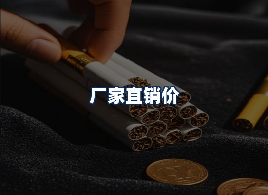 专业团队办公环境